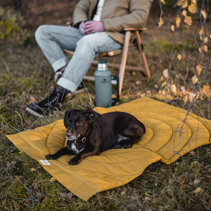 Outdoor Hundedecke Reisedecke Gelb Dralonstoff