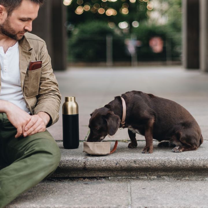 Faltbarer Reisenapf fuer Hunde