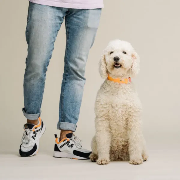 Handgefertigtes Biothane Hundehalsband in Orange - Rosa