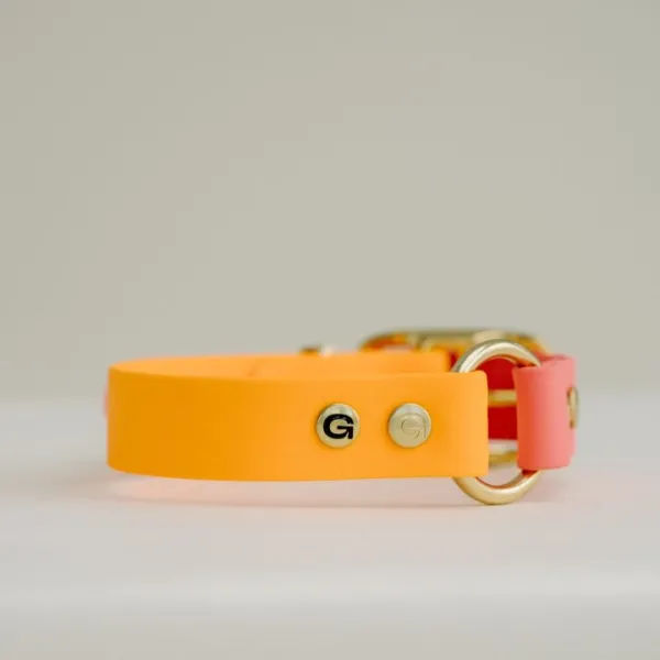 Handgefertigtes Biothane Hundehalsband in Orange - Rosa