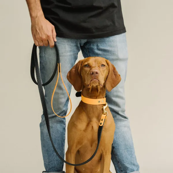 Handgefertigtes Biothane Hundehalsband in Orange - Schwarz