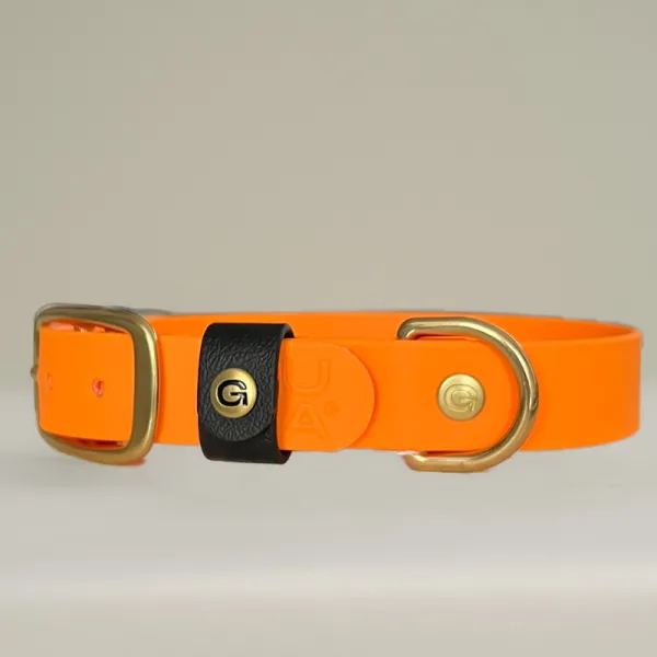 Handgefertigtes Biothane Hundehalsband in Orange