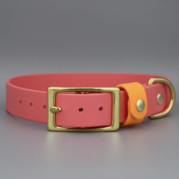 Hundehalsband Pink / Orange 